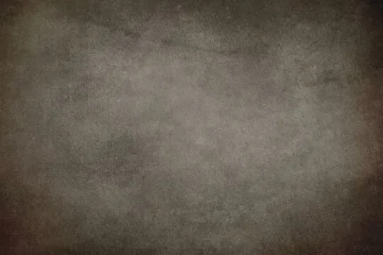 企业与合规展示