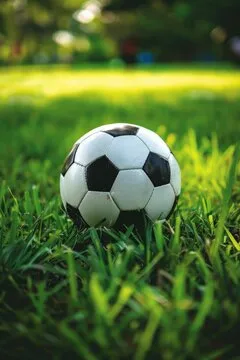 满冠体育APP下载二维码